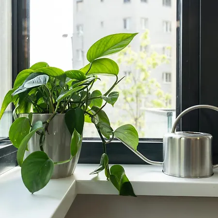 Apartment Blumental Bratislava